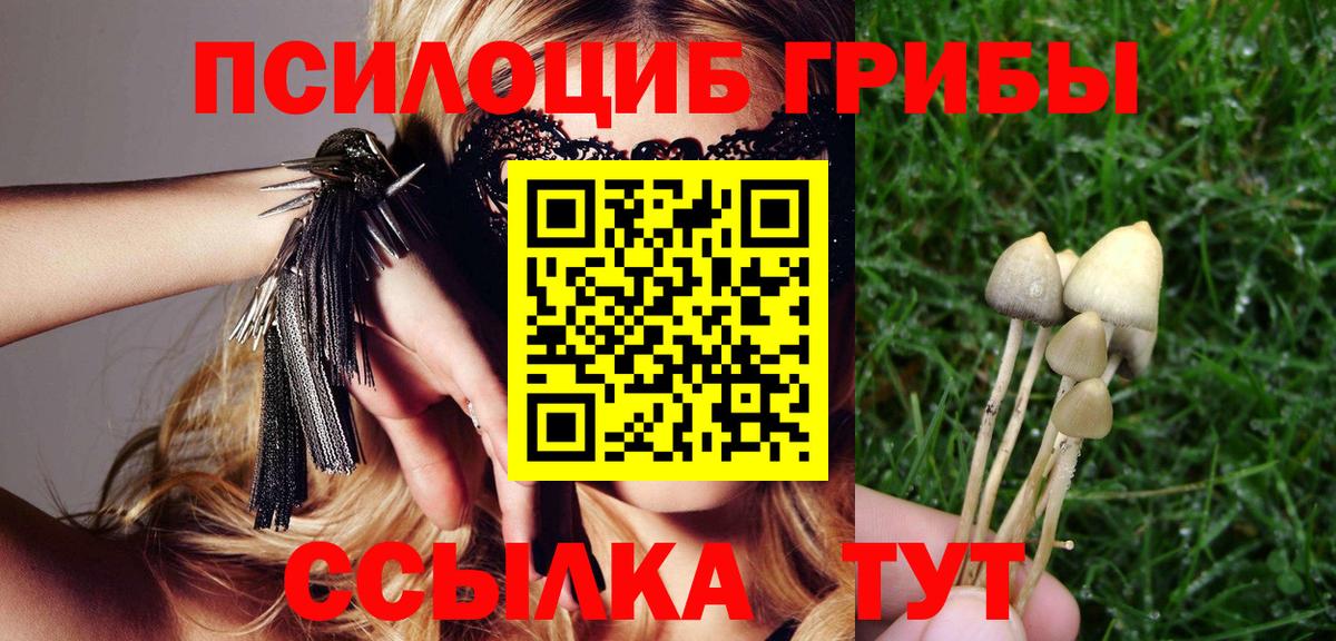 Мценск  Галлюциногенные грибы MAGIC MUSHROOMS  Вход с VPN  Псилоцибиновые грибы Psilocybine cubensis 